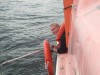 Bild anzeigen