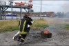 Bild anzeigen