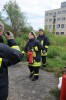 Bild anzeigen