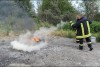 Bild anzeigen