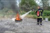 Bild anzeigen
