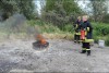 Bild anzeigen