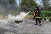 Bild anzeigen