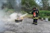 Bild anzeigen