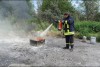 Bild anzeigen