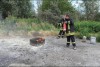 Bild anzeigen