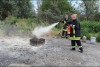Bild anzeigen