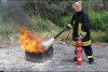 Bild anzeigen