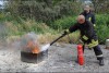 Bild anzeigen