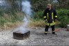 Bild anzeigen