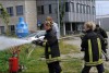 Bild anzeigen