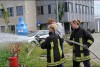 Bild anzeigen