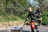 Bild anzeigen