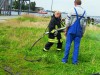 Bild anzeigen