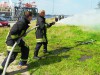 Bild anzeigen
